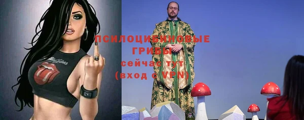стаф Алексеевка
