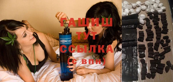 индика Алзамай