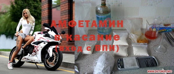 индика Алзамай
