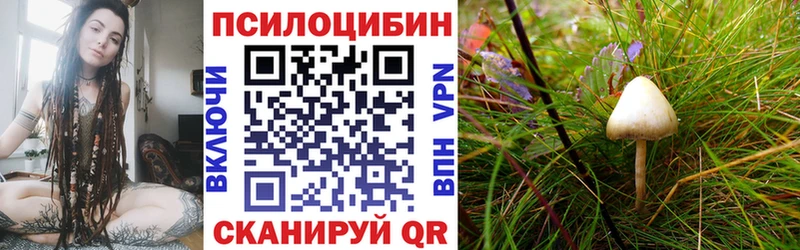 где купить наркотик  Ишим  hydra ТОР  Псилоцибиновые грибы Magic Shrooms 