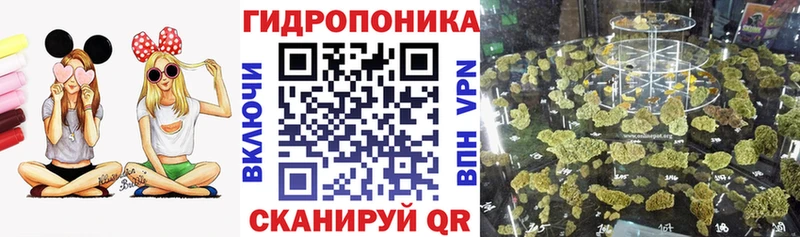 закладки  Ишим  hydra маркетплейс  Бошки марихуана OG Kush 